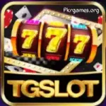 TGSlot