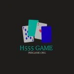H555 game