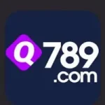 Q789 Game