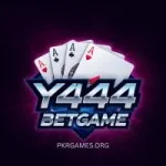 Y444 Bet Game