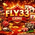 FLY33 Game